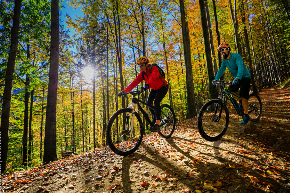Mountain Biking on Ricken Pass
