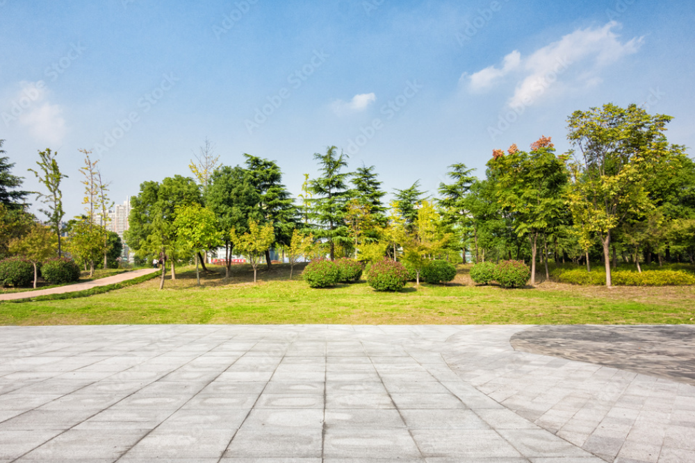The Local Parks