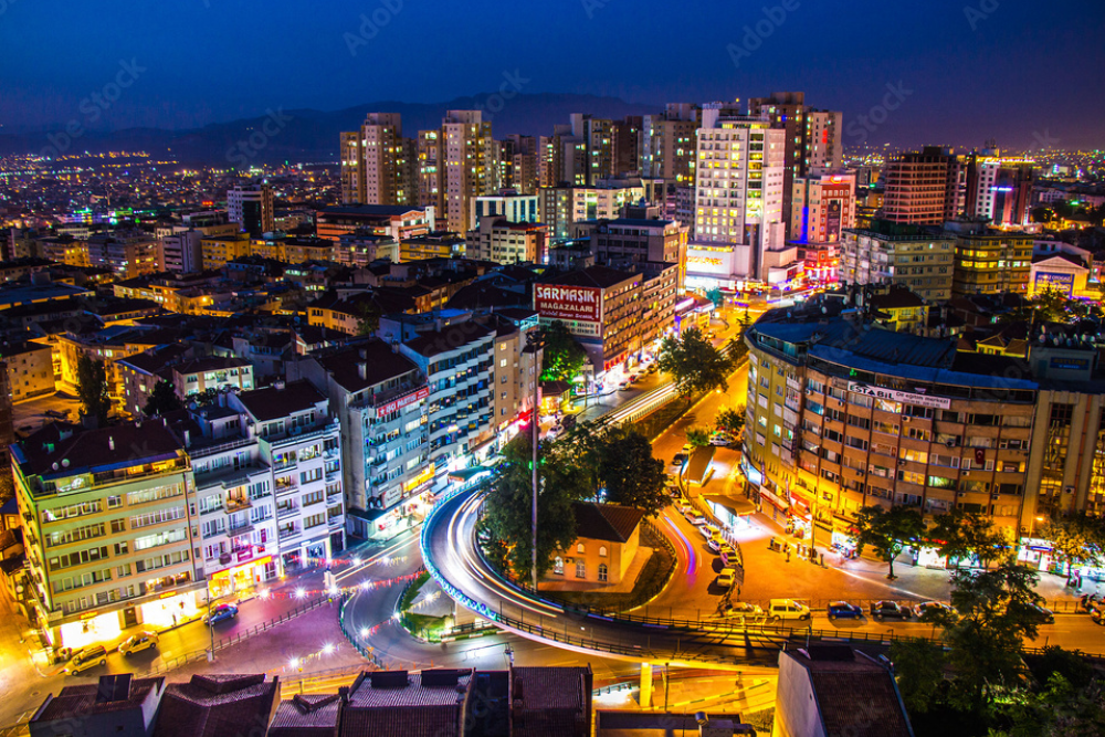 Bursa
