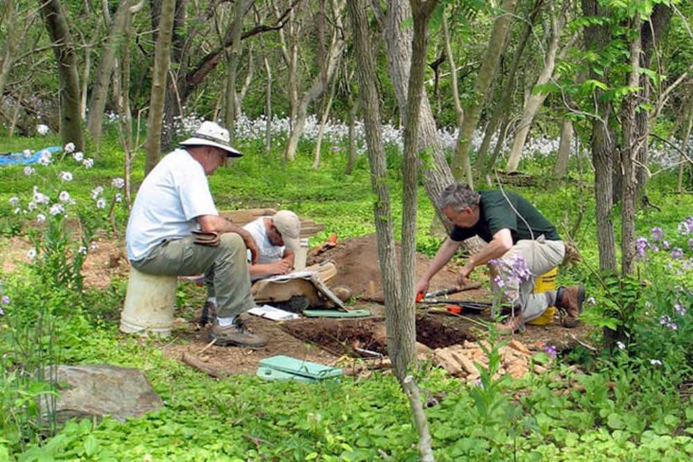 Investigate Colchester's Parks and Gardens