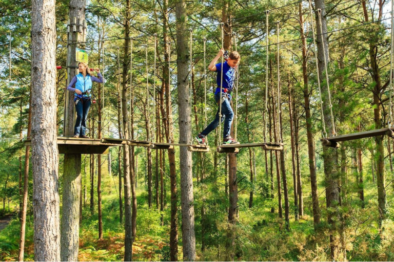 Taman Negara: Guided Tour and Tips