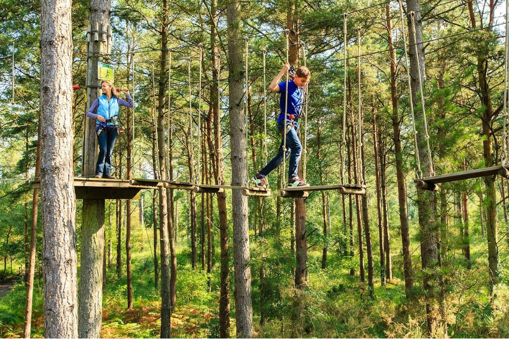 Go Ape Tree-Top Adventures (Alice Holt Forest)