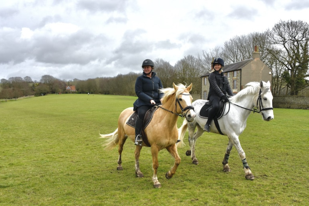 Go Horse Riding in the South Downs