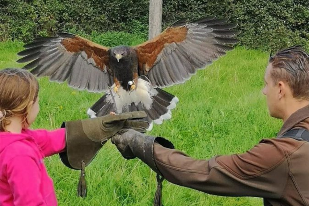 Herefordshire Wildlife Trust Nature Reserves