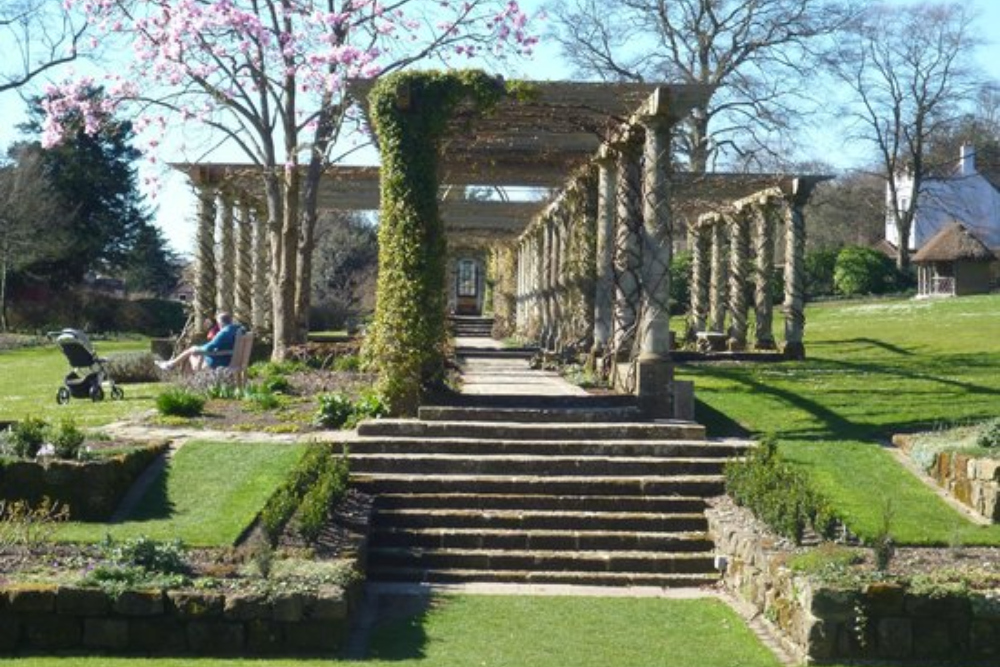  Explore the West Dean Gardens and Estate