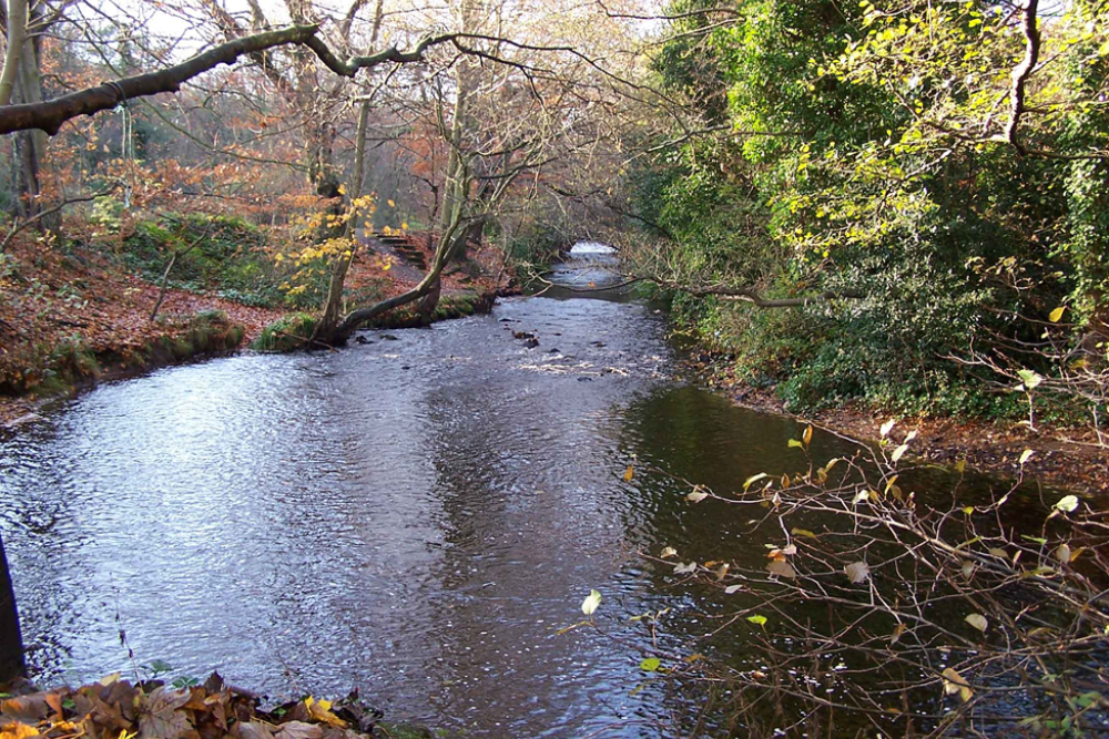 Rivelin Valley Nature Trail
