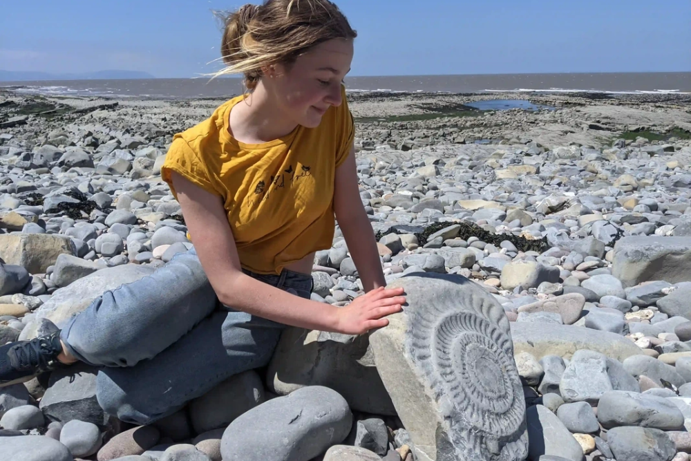Jurassic Coast for Fossil Hunting