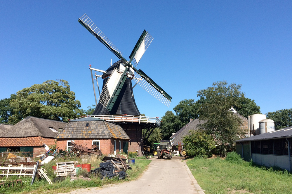 Roodeschool Windmill (De Korenschoof)