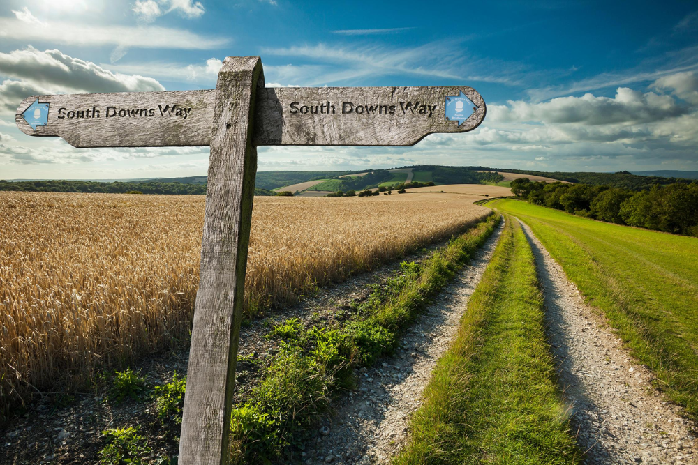 Walk the South Downs Way