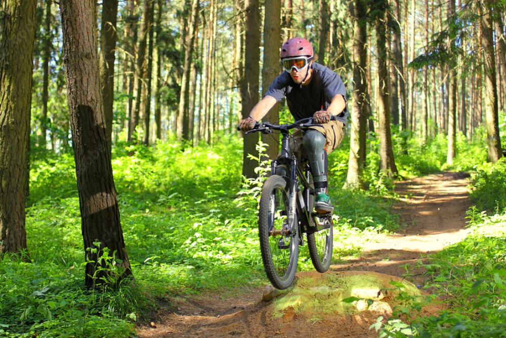 Cycling and Walking Trails