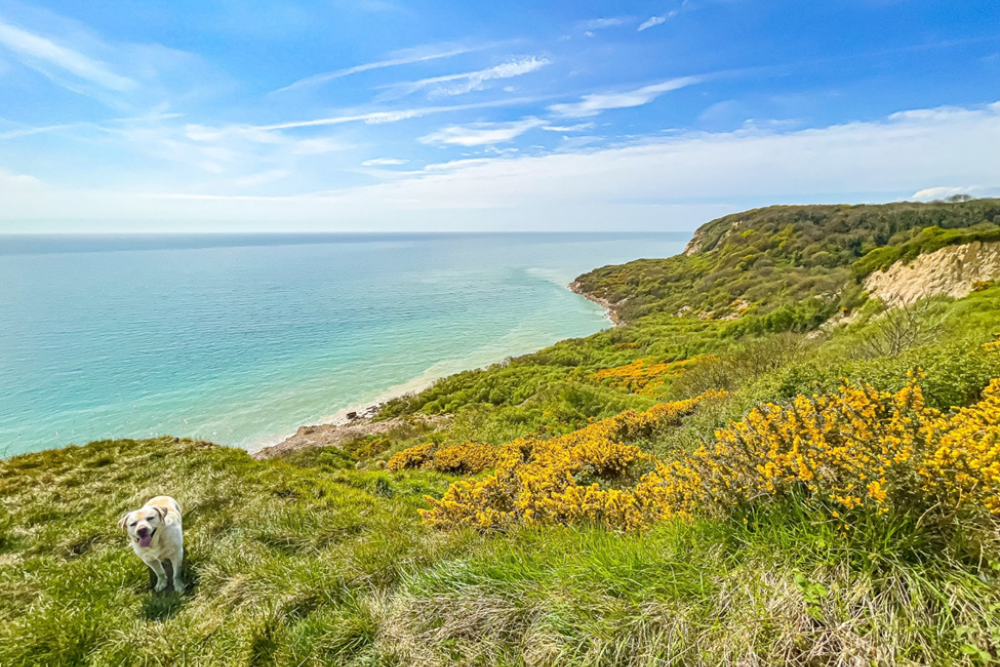 Hastings country Park