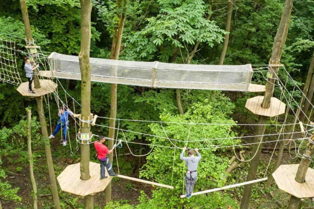 Go Ape at Temple Newsam