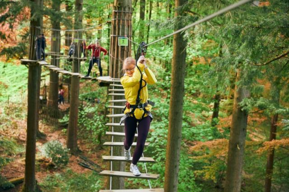 Go Ape at Beauchief