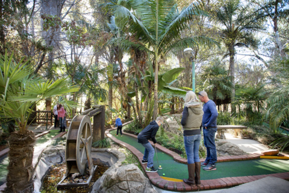 Adventure Golf