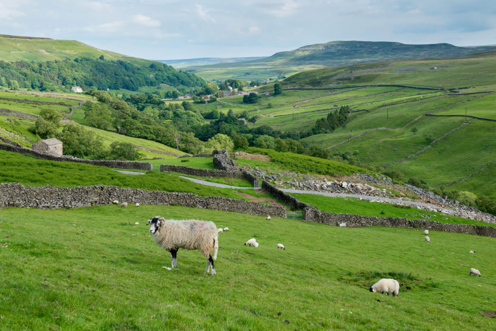 The Yorkshire Dales