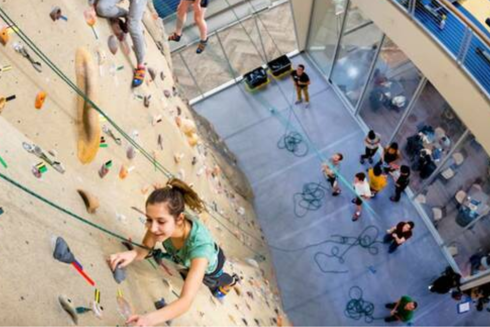 Go Rock Climbing at the Rock Up Indoor Climbing Centre