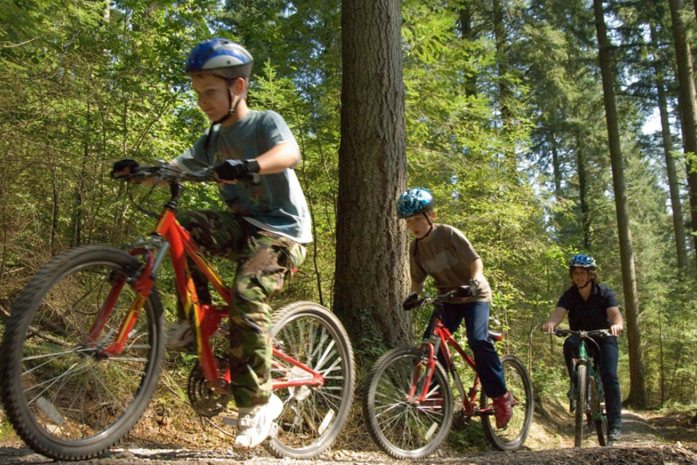 Cycling and Walking on the Meanwood Valley Trail