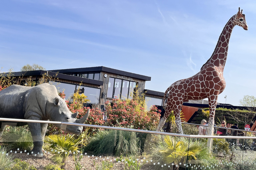 Colchester Zoo