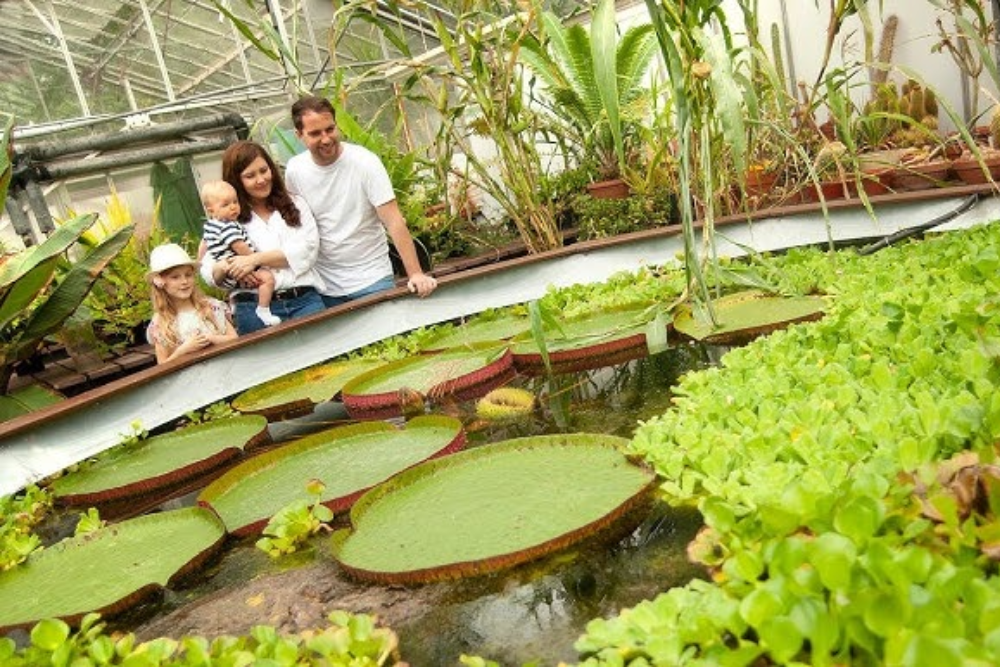 Durham Botanic Garden