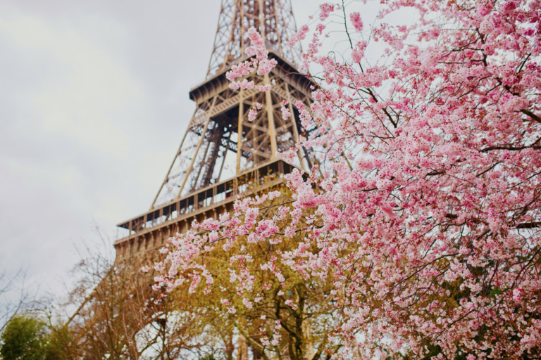 Discovering the Hidden Gardens of Paris: A Peaceful Escape