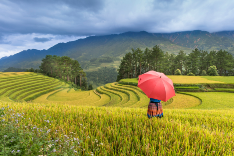 10 Things to Do in Vietnam’s Sapa Valley for Nature-Loving Couples