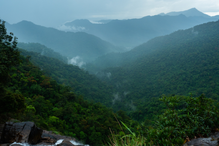 Top 5 Vietnamese National Parks for Wildlife and Nature Lovers