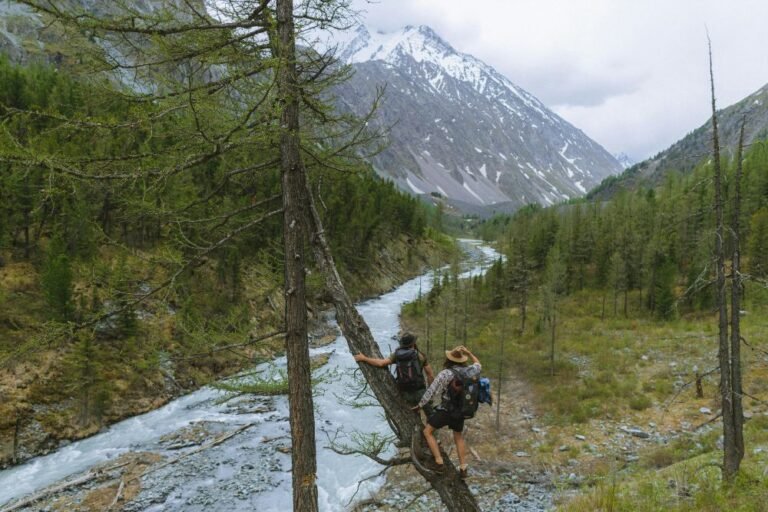 Swiss National Park: Wildlife & Wilderness