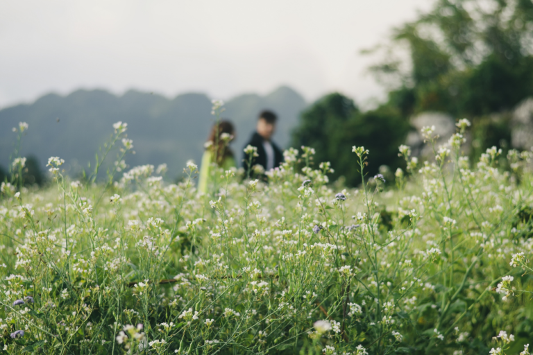 Top 5 Things to Do in Nha Trang for Couples and Solo Travelers