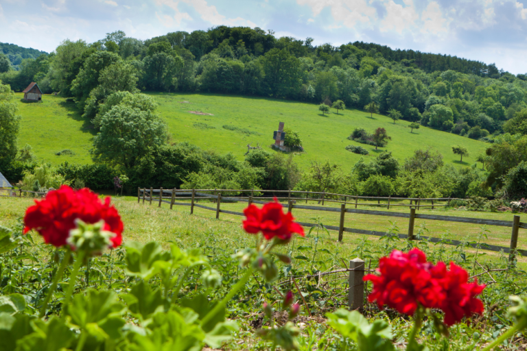 Kobe: best place in Japan