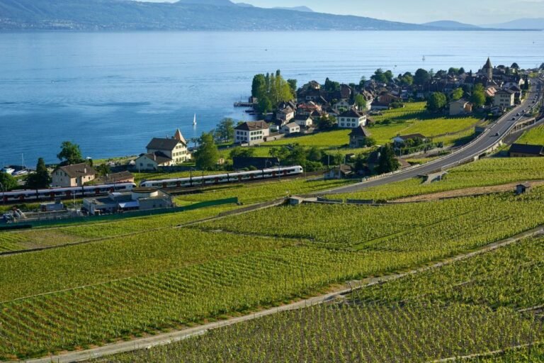 The Hidden Charms of Lausanne: Art, Wine, and Scenic Strolls