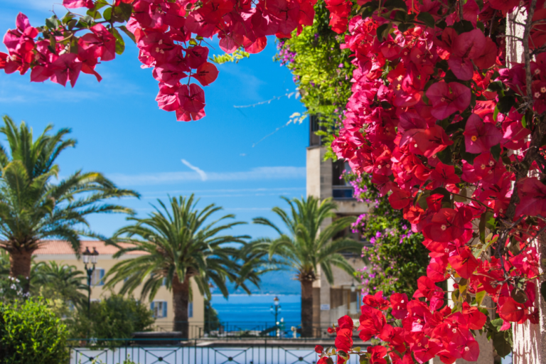 Top 10 Attractions to See in Nice for a Perfect Vacation