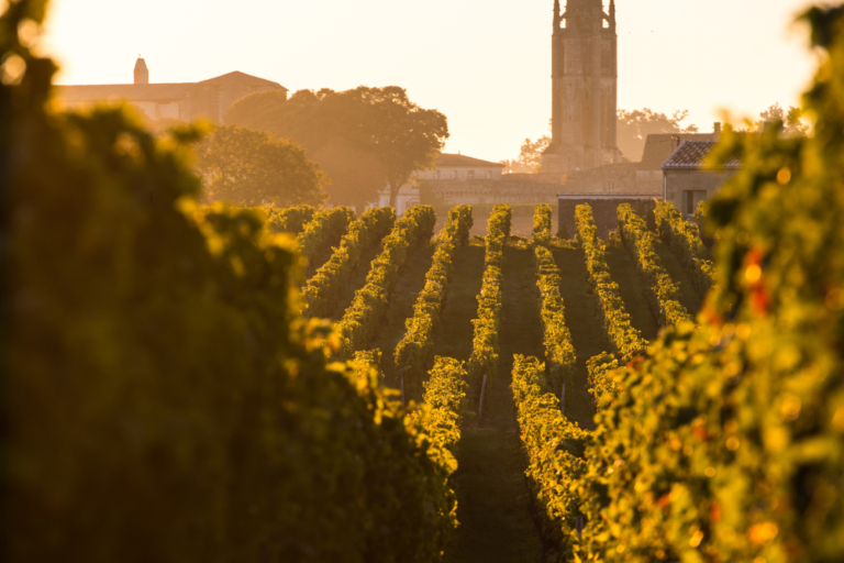 The Best Cycling Routes in the South of France