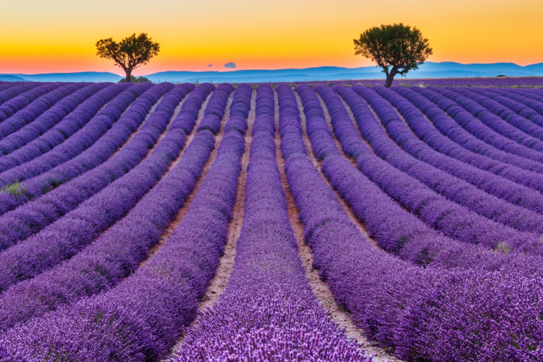 Exploring the Best Art Galleries in Provence: A Journey Through Art and Culture