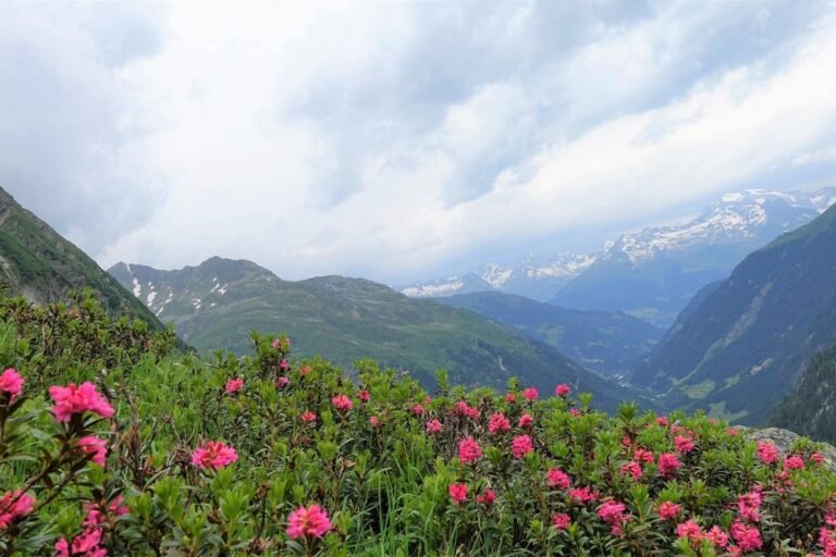 Honshu: a paradise in itself