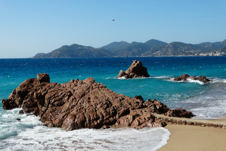 How to Experience the Culture of the South of France: A Local’s Guide