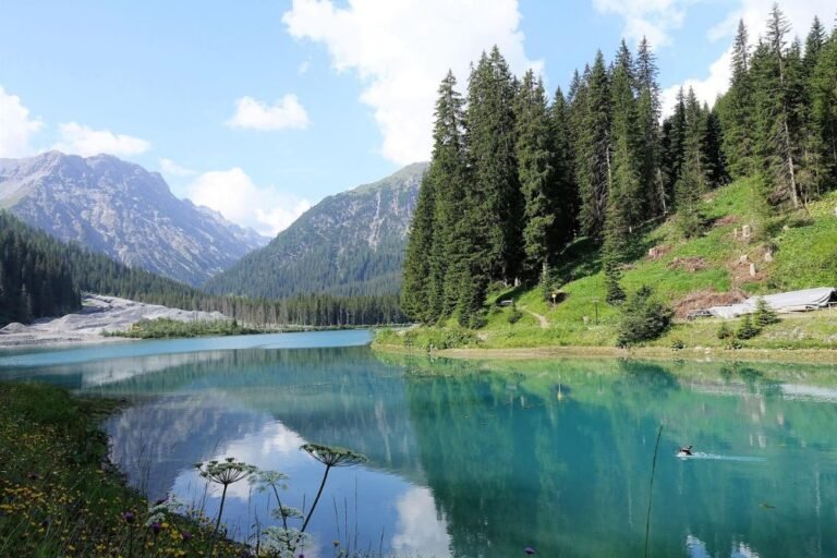 Hidden Treasures of Arosa: A Paradise for Nature Lovers