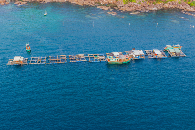 Exploring Vietnam’s Floating Villages: A Unique Experience for Solo and Group Travel