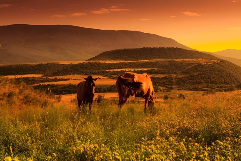 Azerbaijan’s Wildlife: National Parks and Rare Species