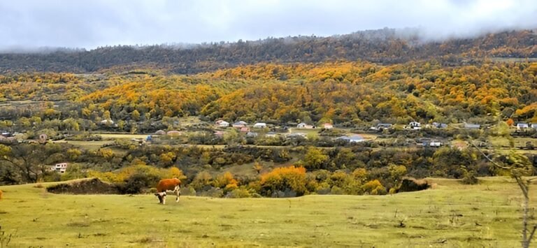Quba’s Red Village: A Jewish Heritage in Azerbaijan
