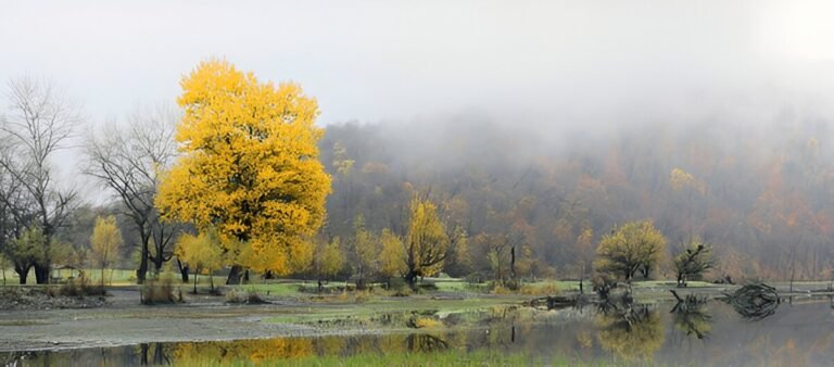 Visiting Ismayilli: Vineyards, Waterfalls, and Scenic Landscapes