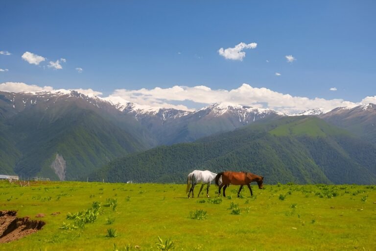 Zagatala: Azerbaijan’s Gateway to the Caucasus