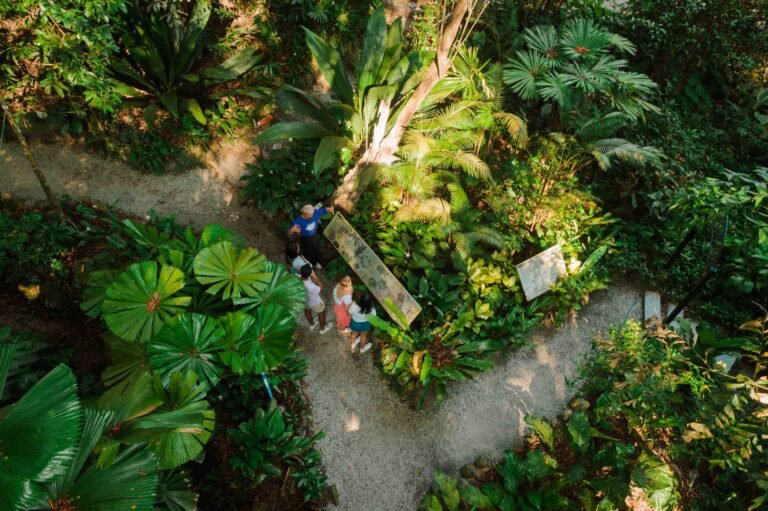 Tropical spice garden: a guided tour
