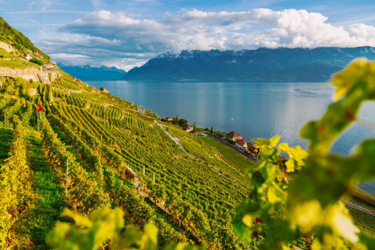 Sustainable Travel in Switzerland