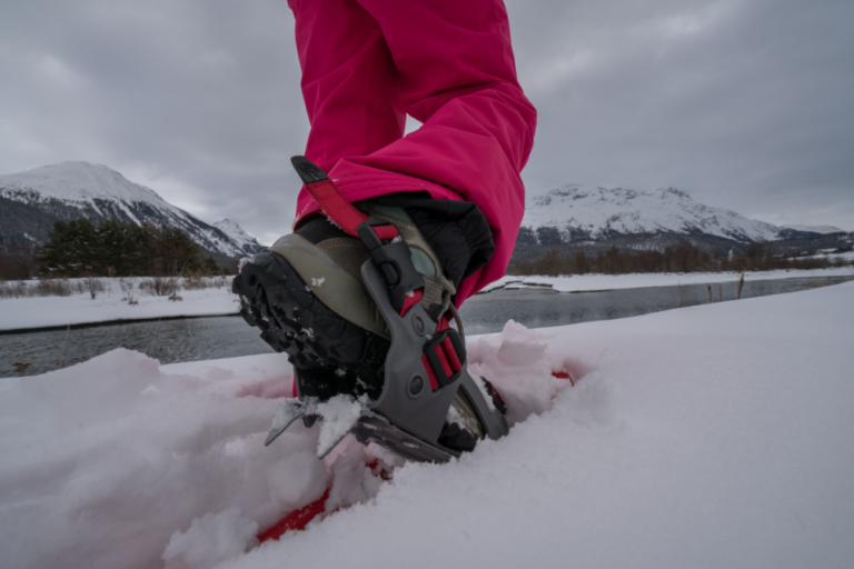 Snowshoeing in Switzerland’s Winter Wonderland