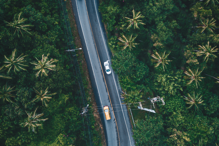 Germany’s Best Road Trips: Scenic Routes for Nature Lovers