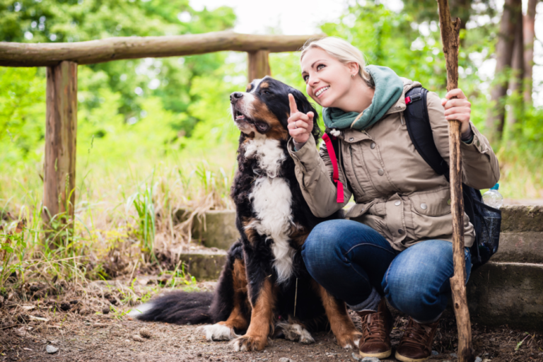 The Best Pet-Friendly Hiking Trails in Germany