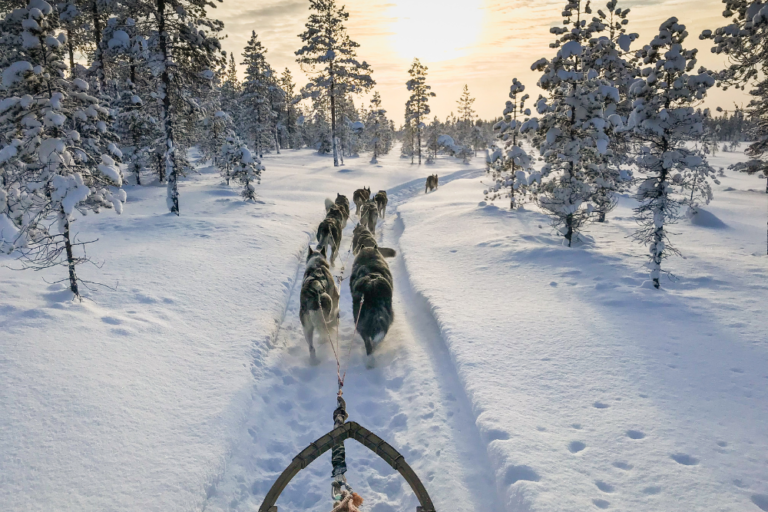Exploring Lapland: A Winter Wonderland in Finland
