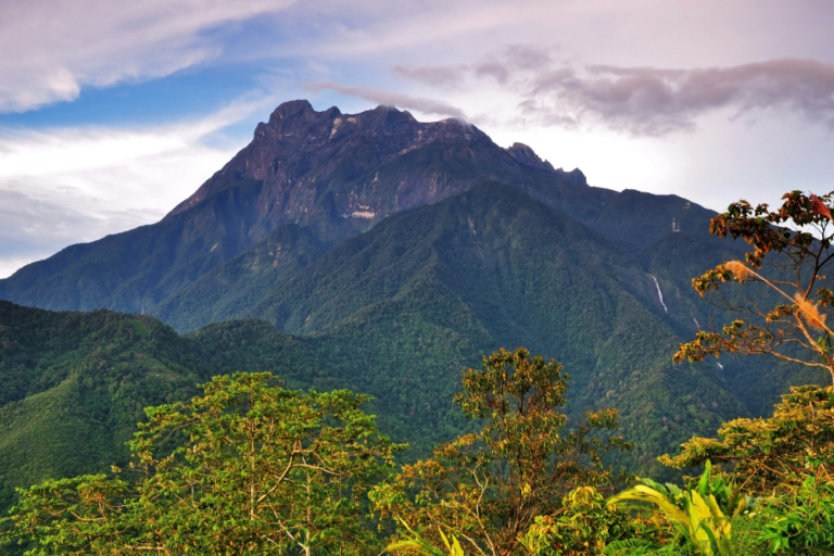 Discover the Enchanting Forest of Borneo