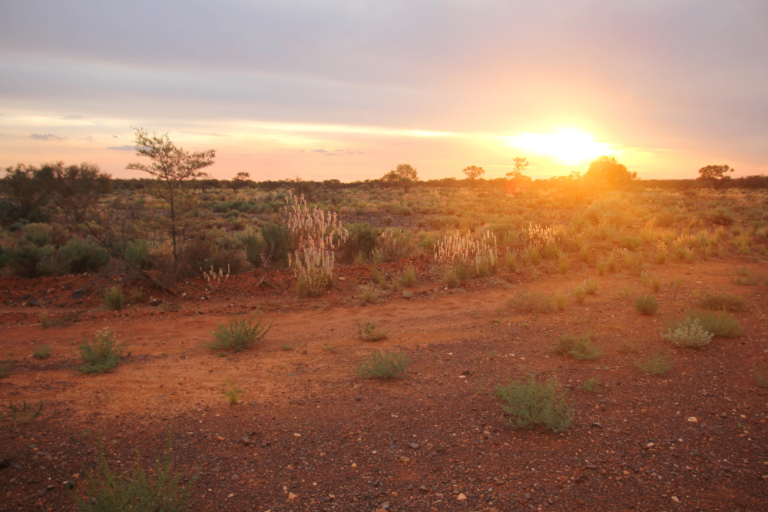 A Guide to Australia’s Desert Landscapes