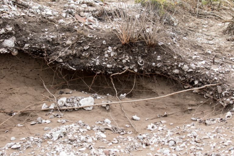 Exploring Australia’s Historic Sites and Landmarks